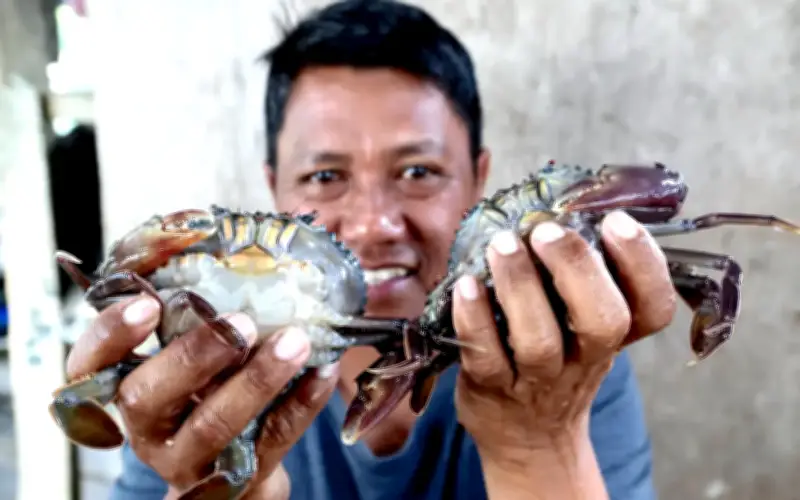 YouTube bimbing nelayan Sabah bina empayar ketam lembut