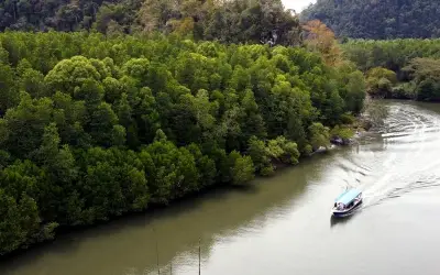 Hentikan tebangan hutan jika mahu 70% hasil cukai karbon, kata Roland Engan