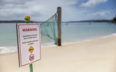 Jerung bunuh penyelam di perairan Australia Barat