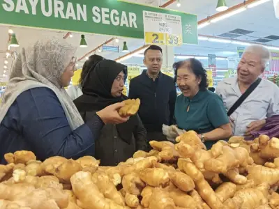 Keputusan Kerusi Puteri Wangsa Diserahkan Kepada Pimpinan Tertinggi Pakatan