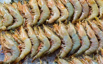 Larangan udang Thailand oleh Malaysia cetus kebimbangan pengeluar Thailand