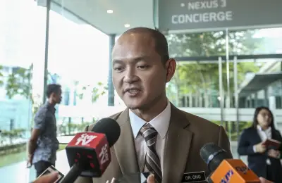 Ong Kian Ming cadang 'warlord' pengaruhi kontroversi kerusi Skudai libat Marina Ibrahim