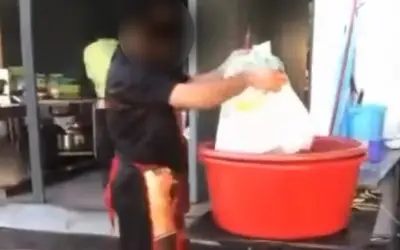 Polis siasat video viral penderaan kucing di restoran Teluk Intan