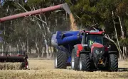 Australia ramal hasil gandum merosot 26% tahun ini