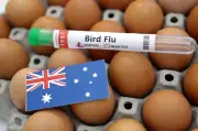 Australia sahkan kes kedua H5N1 dalam tiga hari, perketat kawalan