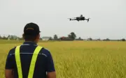 Bernas Perluas Penggunaan Dron, Sensor dan AI Tingkatkan Produktiviti Padi