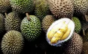 Durian RM1 Laris Manis, Ratusan Pengunjung Mula Beratur Sejak 8 Pagi