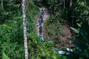 Hilang di Gunung Batu Putih, Jaslinda masih belum ditemui pada hari ke-14