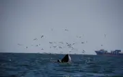 Kemboja guna mekanisme PBB selesaikan pertikaian maritim dengan Thailand