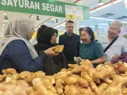 Keputusan Kerusi Puteri Wangsa Diserahkan Kepada Pimpinan Tertinggi Pakatan