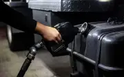 Kerajaan Kaji Kebolehlaksanaan Pelaksanaan B50 Biodiesel