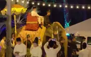 Kumpulan hijau desak siasatan gajah digunakan di majlis perkahwinan