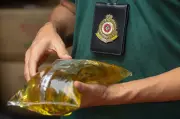 Ladang haiwan di Kedah diserbu gara-gara simpan tepung tanpa izin