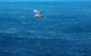 Oman sokong perjanjian Iran-AS, tegaskan tiada caj transit di Selat Hormuz