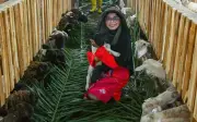Pakar jantung tukar bilik bedah ke ladang ternak di Kelantan