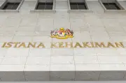 Peguam rayu kebenaran Mahkamah Persekutuan berkaitan darurat Agong