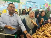 PKR rujuk isu Rafizi, Nik Nazmi kepada pasukan guaman, Wong Chen ke lembaga disiplin