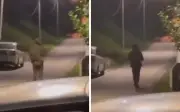 Polis Siasat Lelaki Berpakaian Ala Tentera di Kepong