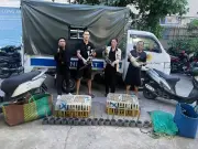 Polis Vietnam Selamatkan 400 Kucing dari Sindiket Curi untuk Dijadikan Makanan