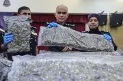 Serbuan dadah KLIA: 653kg ganja dirampas, 38 ditahan tahun ini