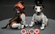 Sony hentikan jualan anjing robot 'aibo' di Jepun