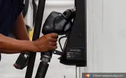 Syarikat swasta dengan jip diesel, pikap layak subsidi diesel