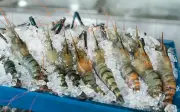 Thailand bawa isu import udang Malaysia ke WTO jika rundingan gagal