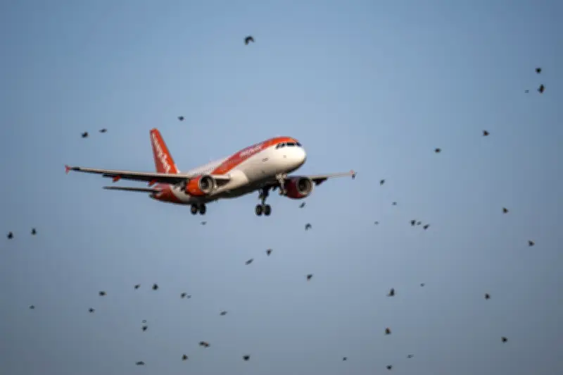 EasyJet terima tawaran pengambilalihan kelima Castlelake bernilai £5.2 bilion