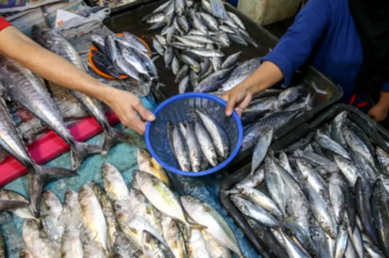 IPR manfaat 7,787 isi rumah dalam tempoh hampir tiga tahun