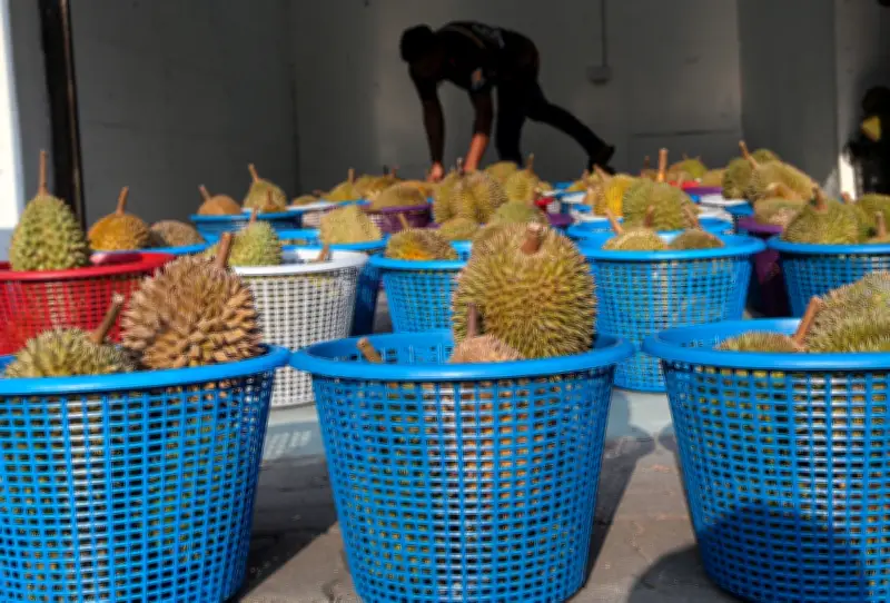 Jabatan Pertanian nafi kelulusan eksport durian Malaysia ke China melalui darat