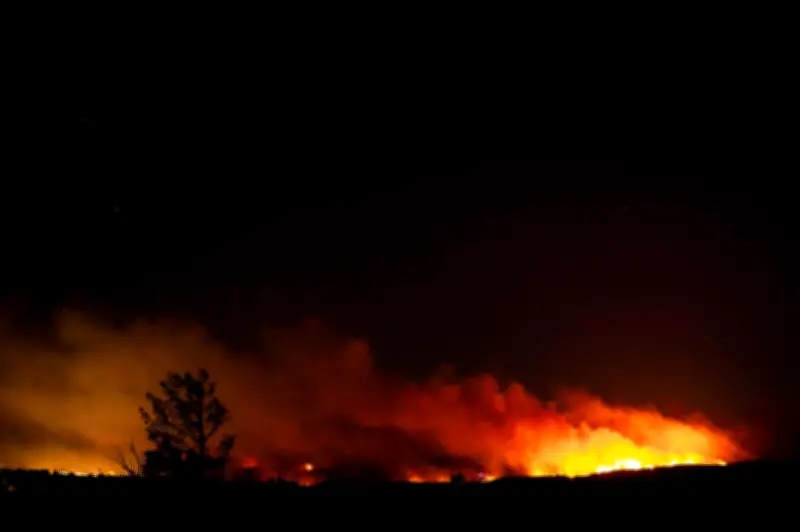 Kebakaran hutan Eropah musnahkan 19,000 hektar, ribuan dipindahkan