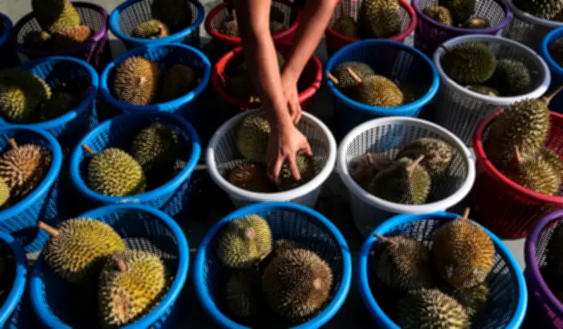 Kejatuhan Harga Durian: Raja Buah Tunduk kepada Penawaran dan Permintaan