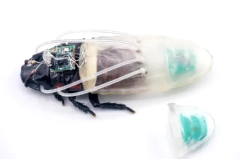 Lipan Lipas Robotik Kini Mampu Menyelam: Sut Khas Bantu Operasi Bawah Air