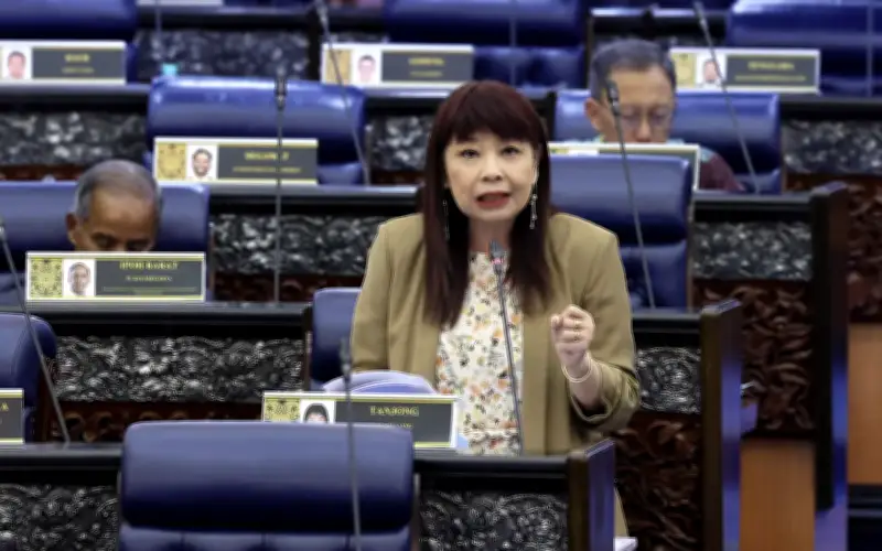 NGO gesa timbalan menteri klarifikasi kenyataan pengguguran