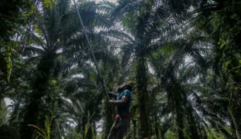Serangan hidupan liar, perosak rugikan petani lebih RM1.4 juta (2025-2026)