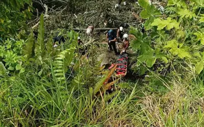 Pemandu Lori Maut Selepas Kenderaan Jatuh Gaung 45m Di Gua Musang