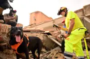 Anjing penyelamat bawa harapan dan kegembiraan di tengah tragedi gempa Venezuela