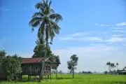 DOSM: 71,101 rumah percutian hasil RM2.2 bilion pada 2025