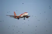 EasyJet terima tawaran pengambilalihan kelima Castlelake bernilai £5.2 bilion